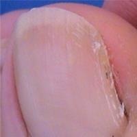 The Foot Clinic image 3